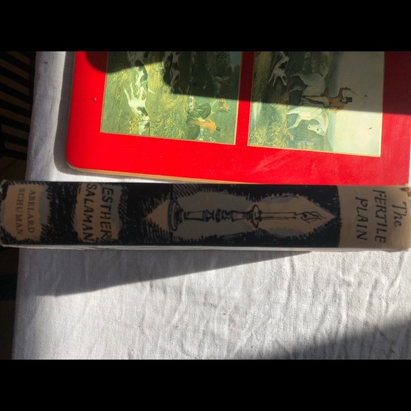 1956 The Fertile Plane E Salaman book - Picture 9 of 10